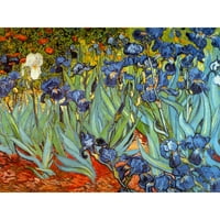 Orijentalni namještaj irisa Van Gogha, zidna umjetnost, 31,5 SH 23,5 V