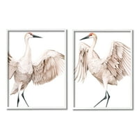 Ilustracija: jednostavne bijele ptice dizalice koje stoje raširenih krila, 30, dizajnirao Grace Popp