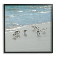 Jato obalnih ptica pješčana plaža crno uokvireno Obalno Slikarstvo umjetnički tisak zidna umjetnost
