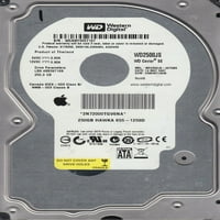 WD2500JS-40TGB0, DCM DSBHNTJAHN, Western Digital 250 GB SATA 3. Tvrdi disk