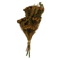 Brunia Vickerman prirodna, šljiva, grozd od 3 unce , konzervirana