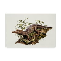 Zaštitni znak likovne umjetnosti kid crocodile, ulje na platnu Beverli Dojl