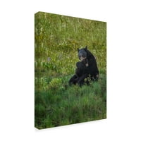 Likovna umjetnost s potpisom crni medvjed grli mladunče na platnu iz Mac-a na mreži