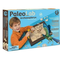 Geoworld paleo laboratorij arheoptery fosil replika paleontolog kit