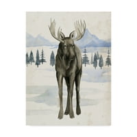 Zaštitni znak likovna umjetnost 'Alaskanska divljina I' Canvas Art by Grace Popp