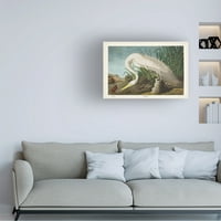 John James Audubon 'White Heron' platno umjetnost