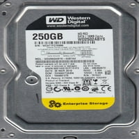 WD2502ABYS-02B7A0, DCM DHNNHT2ABN, Western Digital 250 GB SATA 3. Tvrdi disk