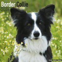 Kalendar graničarskog škotskog ovčara-kalendar pasmina pasa-zidni kalendar za 2017. godinu-