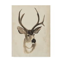 Zaštitni znak likovna umjetnost 'akvarel na životinjama studija II' Canvas Art by Grace Popp