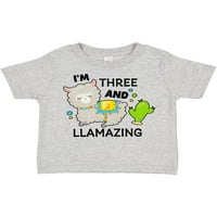 T-Shirt i T-shirt s Lamom i kaktusom kao poklon za dječaka ili djevojčicu